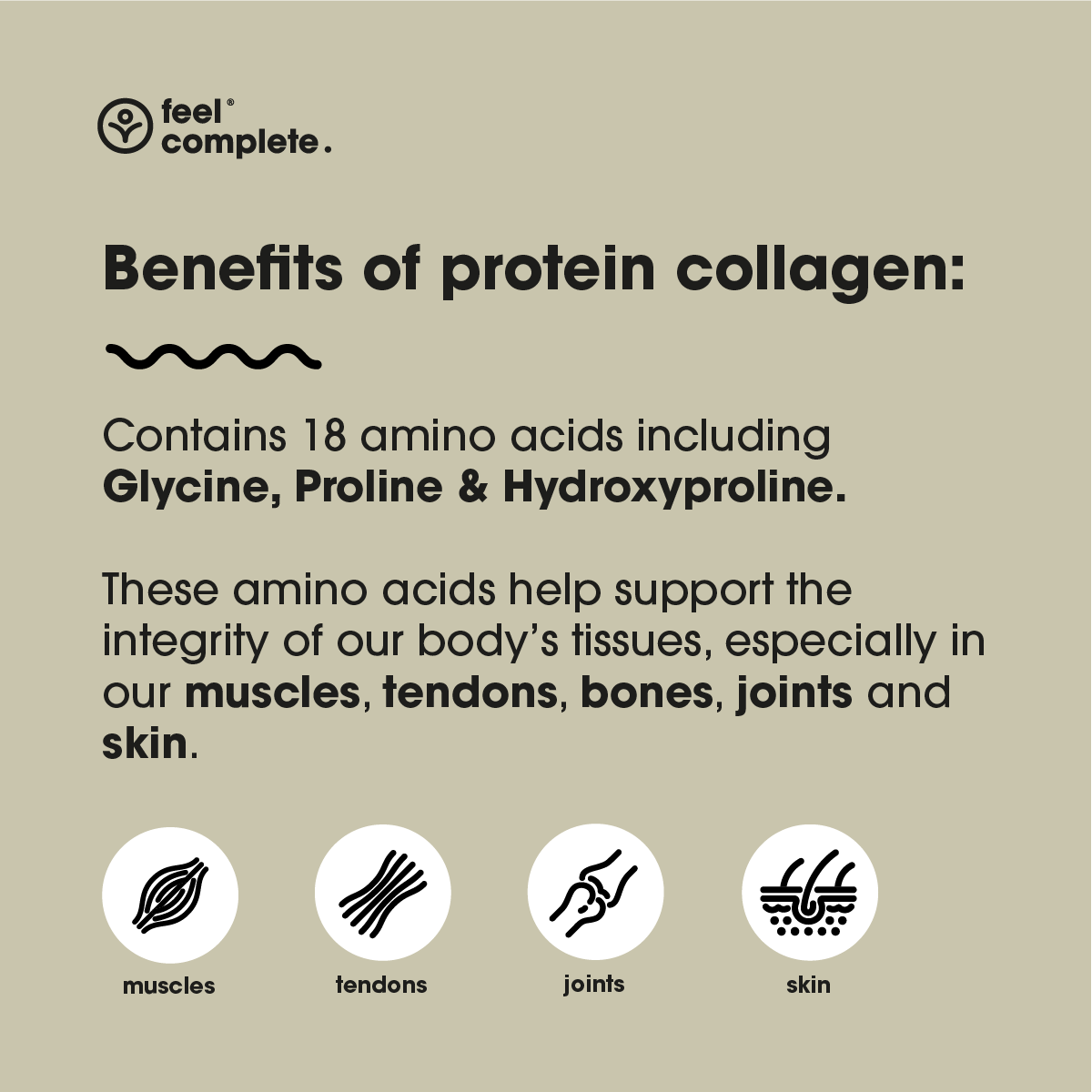 Protein Collagen: 1 month supply